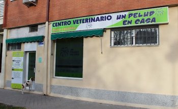 UN PELUDO EN CASA