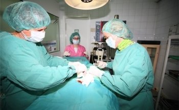 Clínica Veterinària La Mola