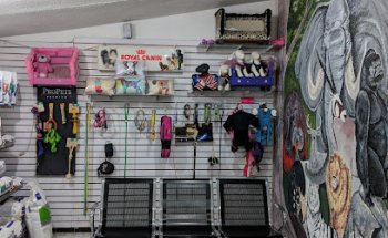 Animal Life Hospital Veterinario