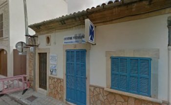 Veterinario