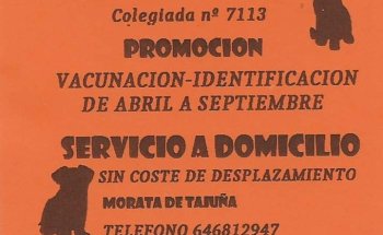 Marta Ynzenga Cañas