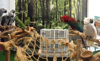 Loro Fauna