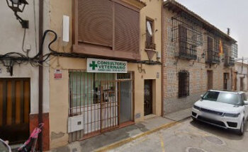 Consultorio Veterinario