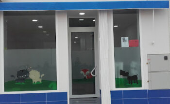 CV Isla Plana