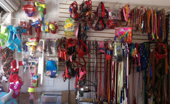 Grooming pet's salon