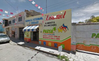 Veterinaria