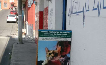 Veterinaria La providencia