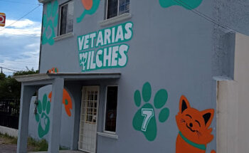 Vet Arias Wilches