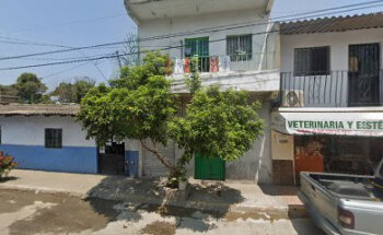 Veterinaria kingvet