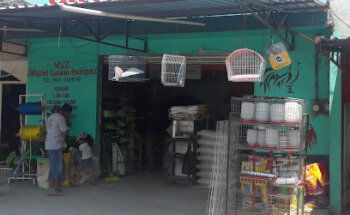 Veterinaria Catalan