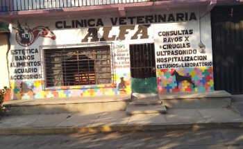 Veterinaria Alfa