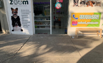Animal Zoom