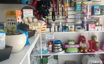 Zampets Veterinaria