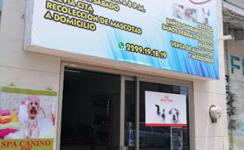Estética Canina De 10