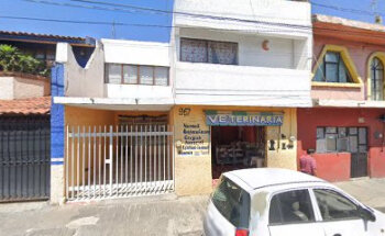 Veterinaria