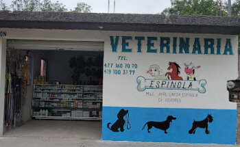 Servicios Veterinarios