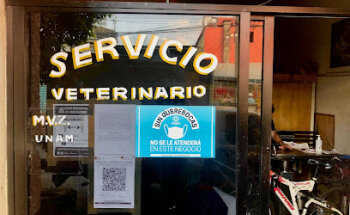 Veterinaria Valu