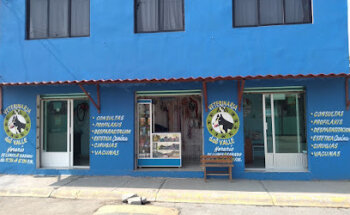 Veterinaria Austrialan Can
