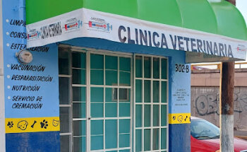 Clinica Veterinaria ANIMARVET