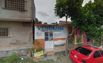 Veterinaria Médico Alejandro