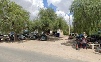 FORRAJES SAN FELIPE