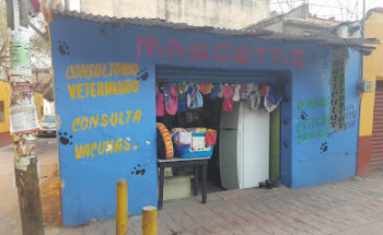 Mascotas+
