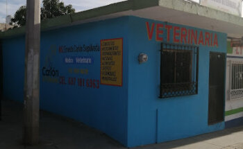 VETERINARIA CARLÓN