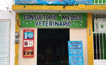 Consultorio Médico Veterinario