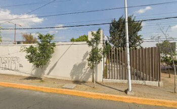Veterinaria neza