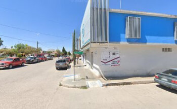 Veterinario