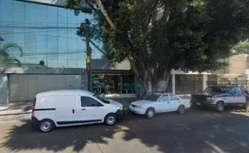 Veterinario Reforma