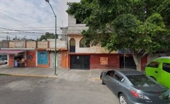 DISTRITO MASCOTA MX