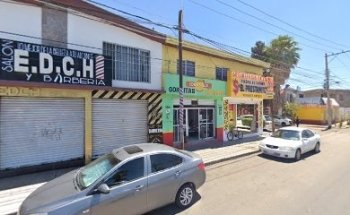 Estetica canina