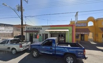 Veterinaria