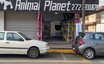 Animal Planet