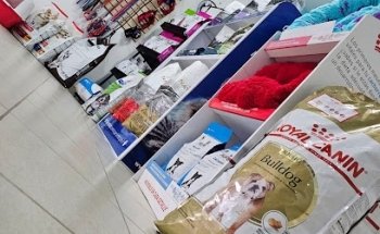 Yerikats & Dogs