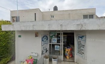 Veterinaria