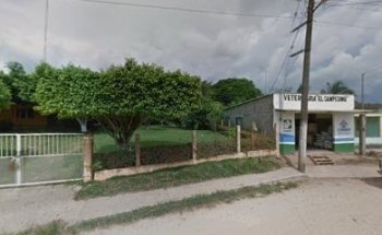 Veterinaria