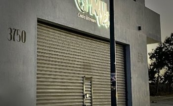 NUVet Centro Veterinario