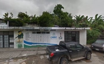 Veterinaria