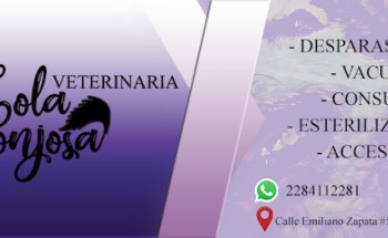 Clínica Veterinaria