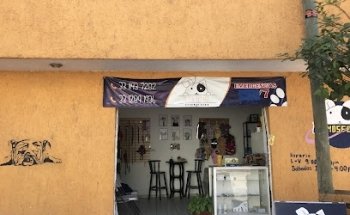 Petmosfera pets clinic