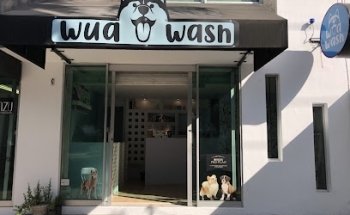 Gua wash