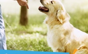 Animal Care Services