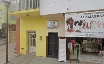 VETERINARIA WILI