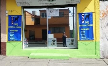 Vida Mascotas