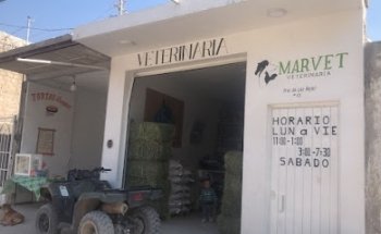 VETERINARIA MARVET