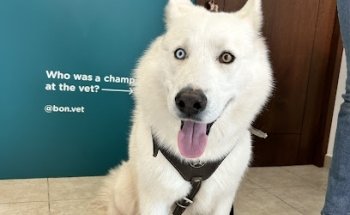 Bonvet Clínica Veterinaria