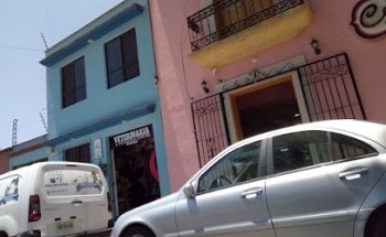 Veterinaria