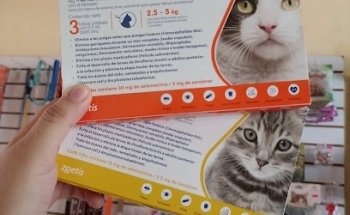 Veterinaria Mayta
